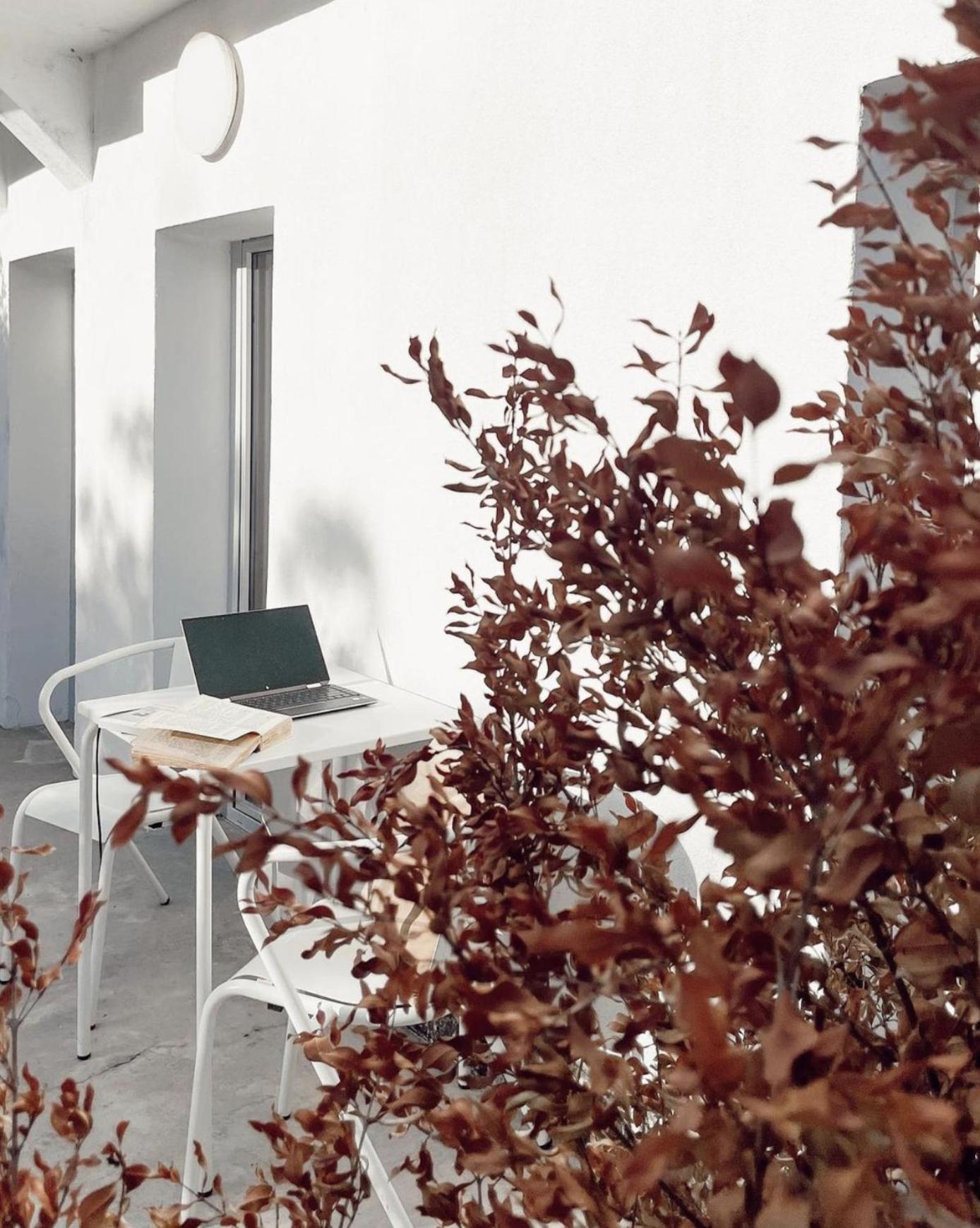 Apartment Cozy Graça Lissabon